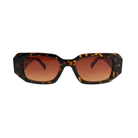 Avalon | Tortoise