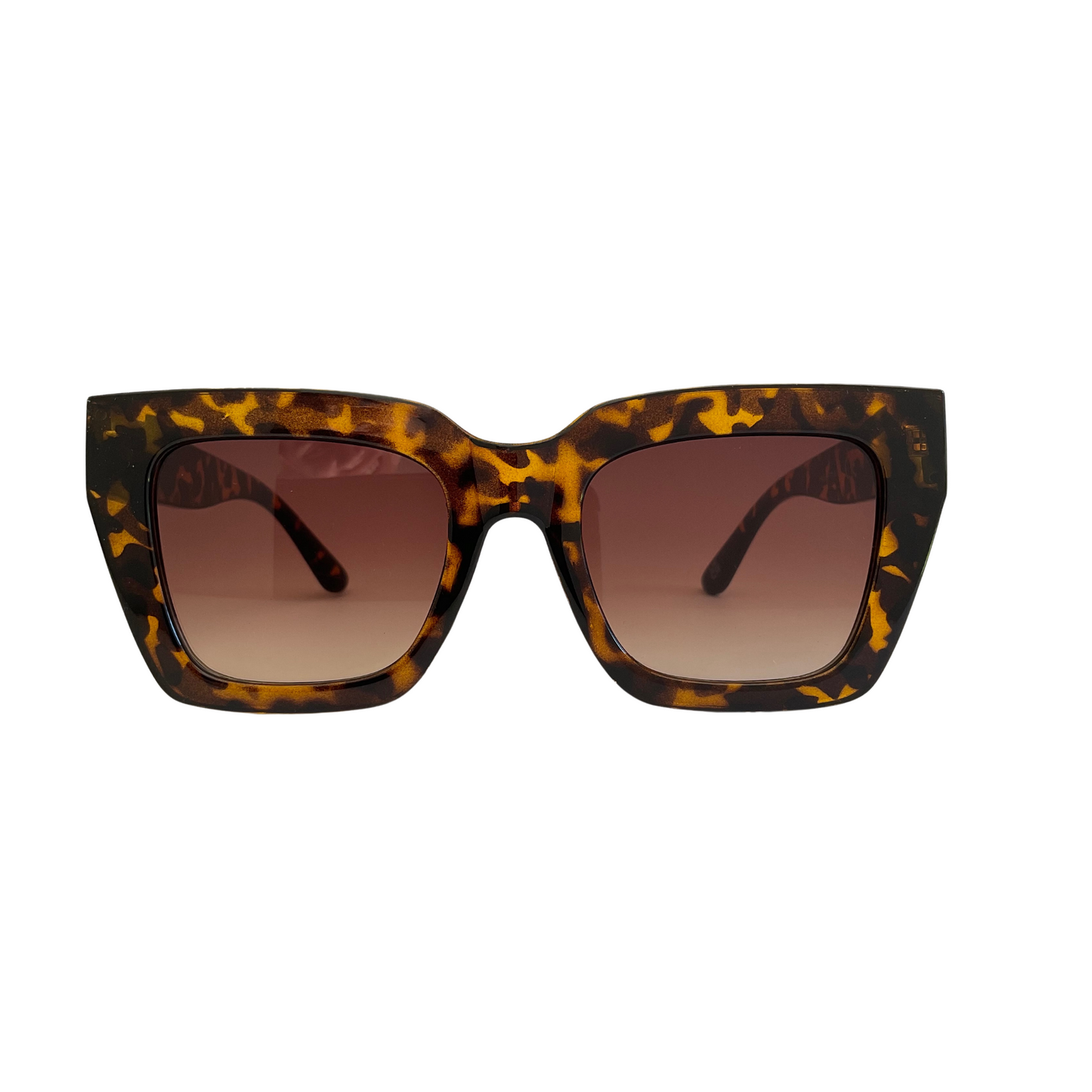 Don | Tortoise